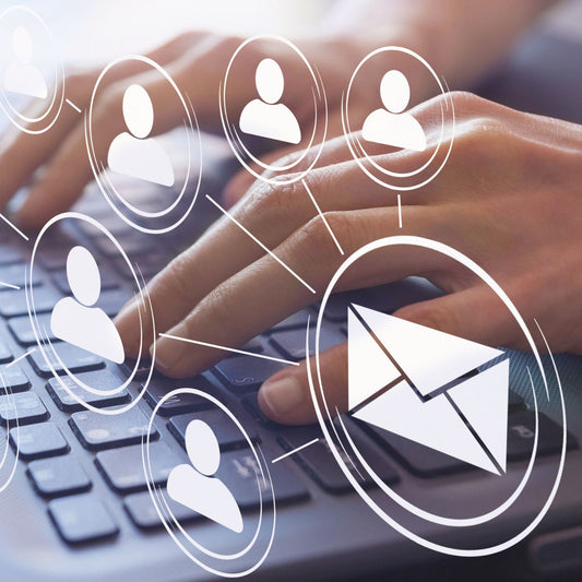 Lane Online Solution Email Marketing Consultation Service